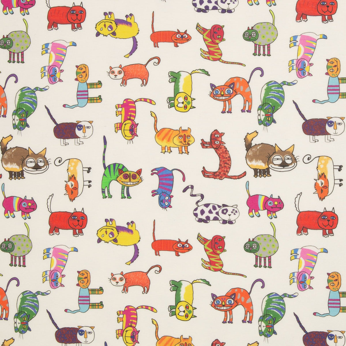 lustige Katzen -beschichteter Canvas