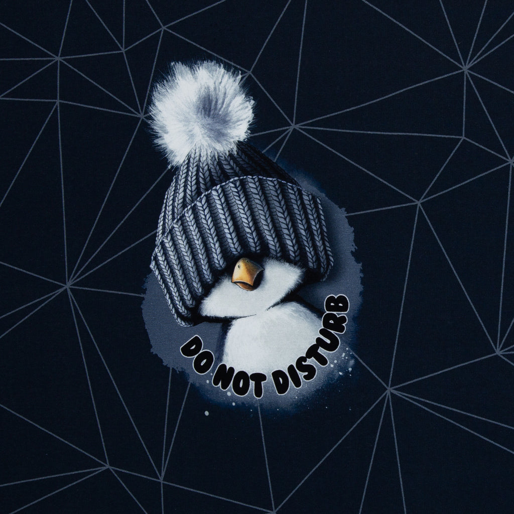 On the Rocks – Pinguin Panel
