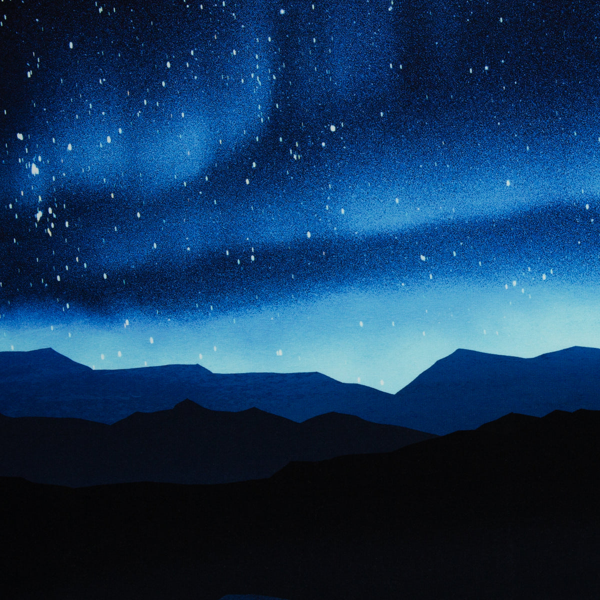 On the Rocks – Eisbär Sternenhimmel Panel