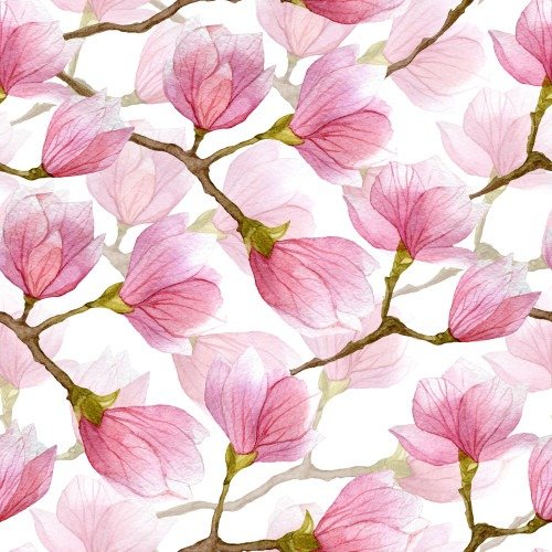 French Terry, Magnolie
