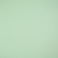 Uni Jersey mint (4036)