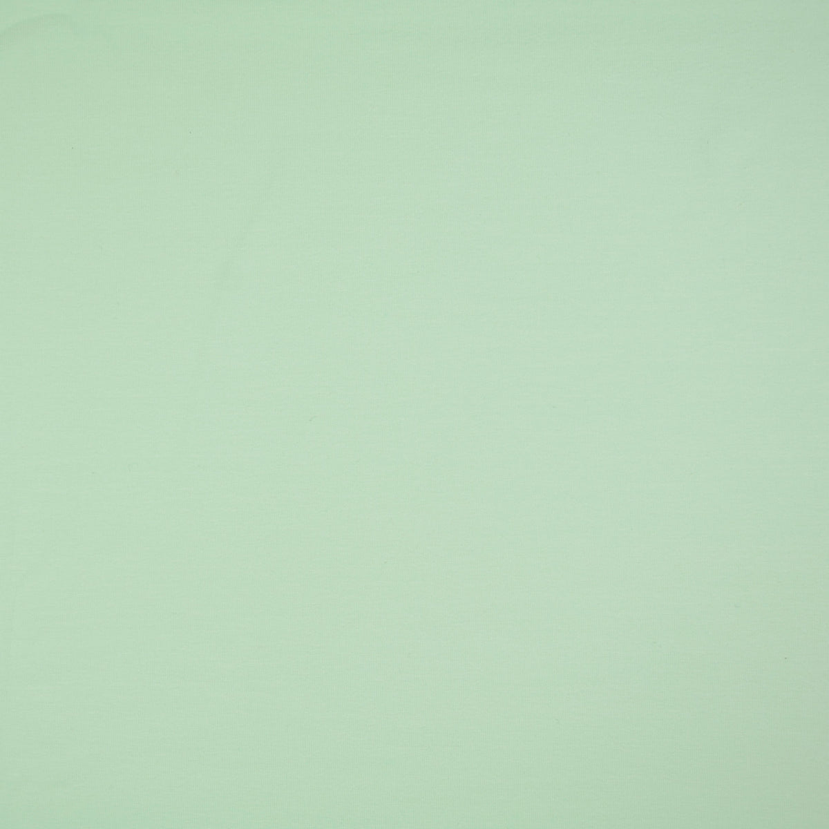 Uni Jersey mint (4036)