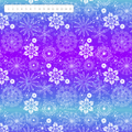 Softshell violett blaue Flocken