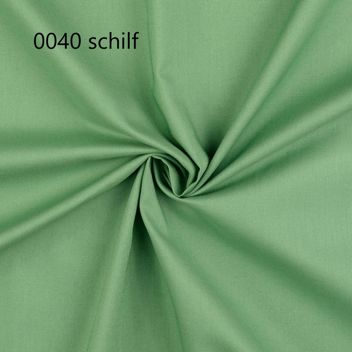 0040 schilf