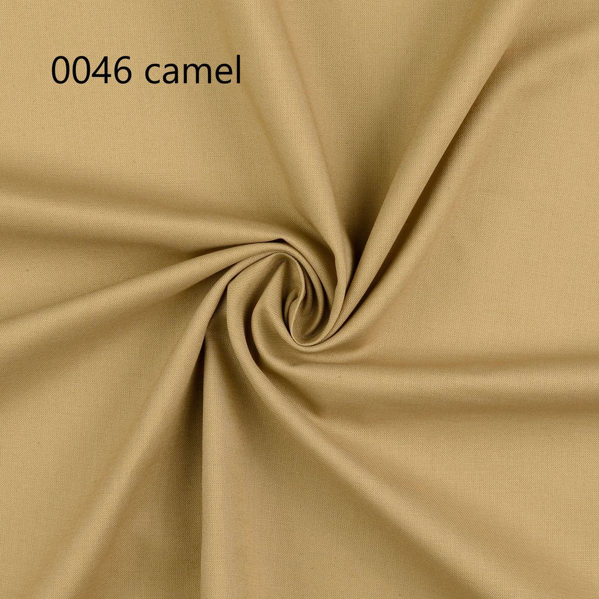 0046 camel