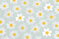 Gänseblümchen - beschichtete Baumwolle