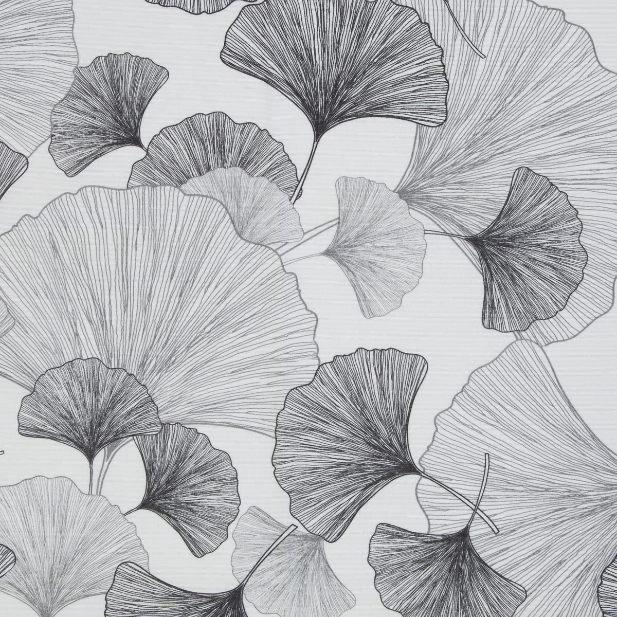 Ginkgo dunkelgrau -beschichteter Canvas