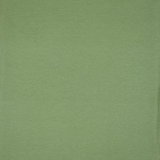 Bündchen schilf - feingerippt (4032)