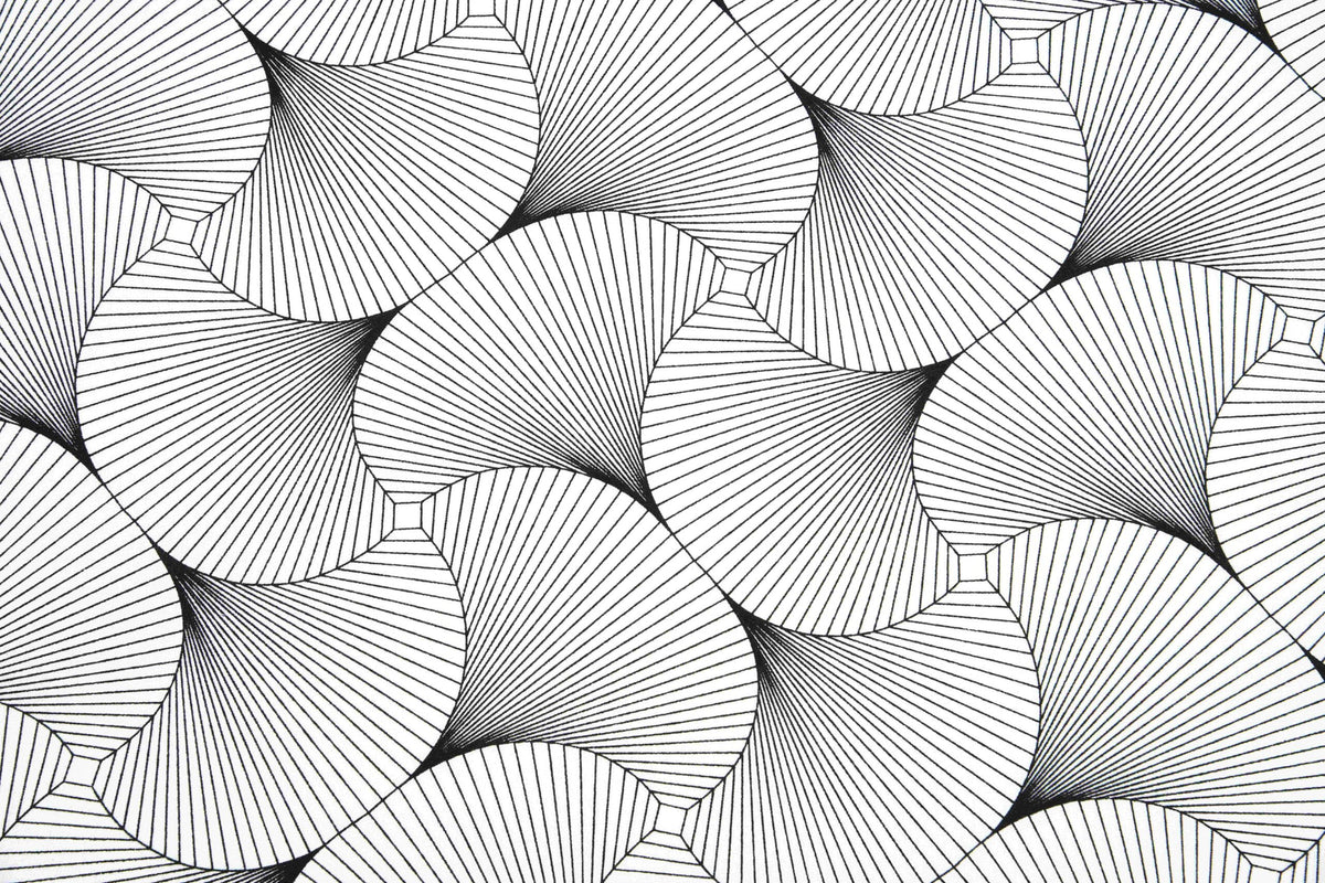 Beschichtete Baumwolle Fadengrafik schwarz weiss