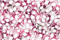 Jersey weisse Blätter fuchsia